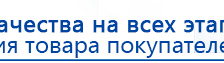 ДЭНАС-ПКМ (13 программ) купить в Качканаре, Аппараты Дэнас купить в Качканаре, Дэнас официальный сайт denasolm.ru
